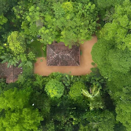 Swasthi Serviced Villa Kanjirapalli Екстериор снимка